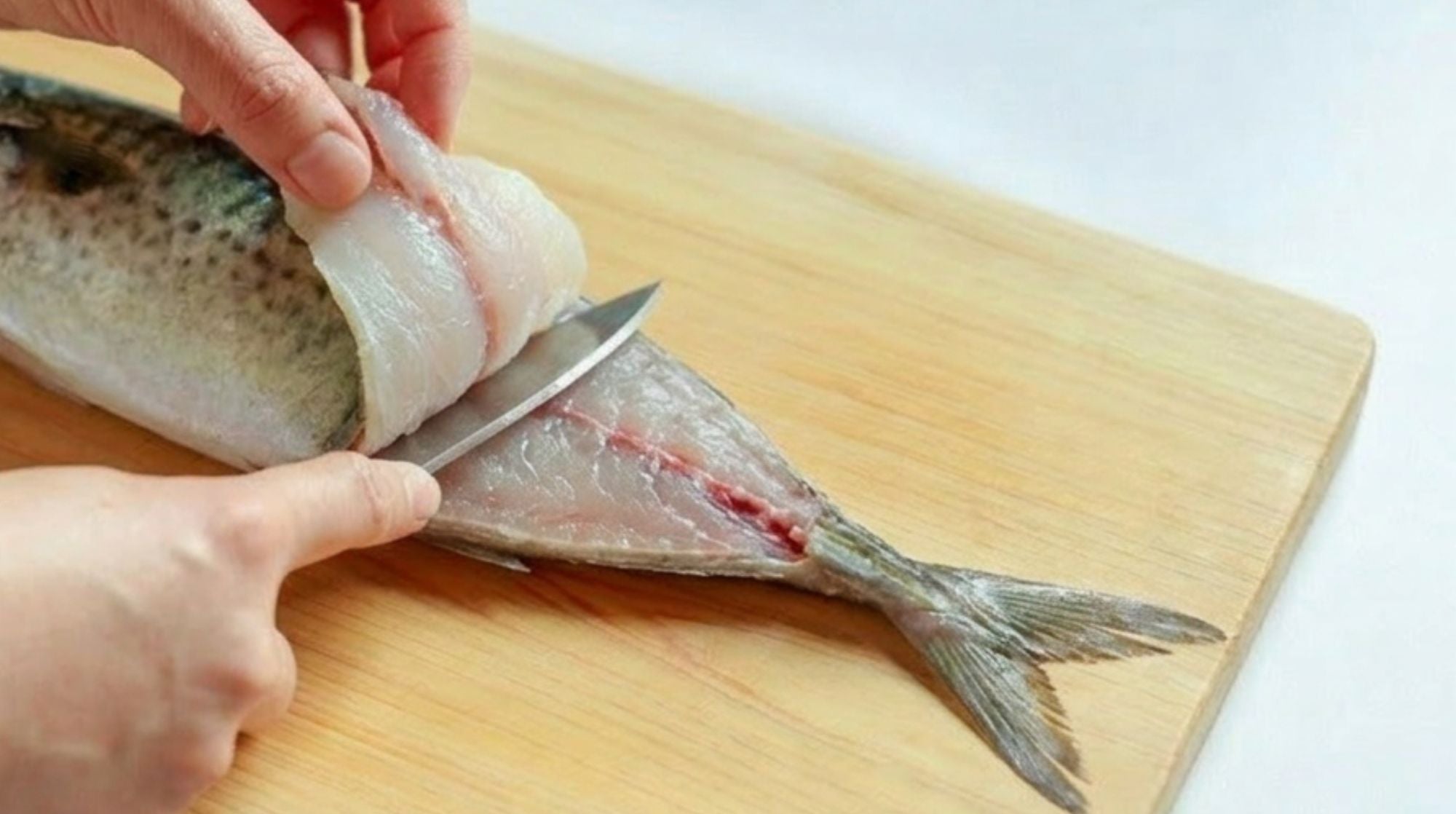 和包丁の種類から出刃包丁で魚をさばく|和包丁 種類 出刃包丁 魚 使い方/手順を初心者向けに解説